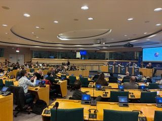 Hemicycle of the European Parliament with delegates seated at yellow desks during a plenary session.